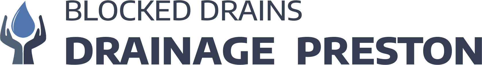 website logo